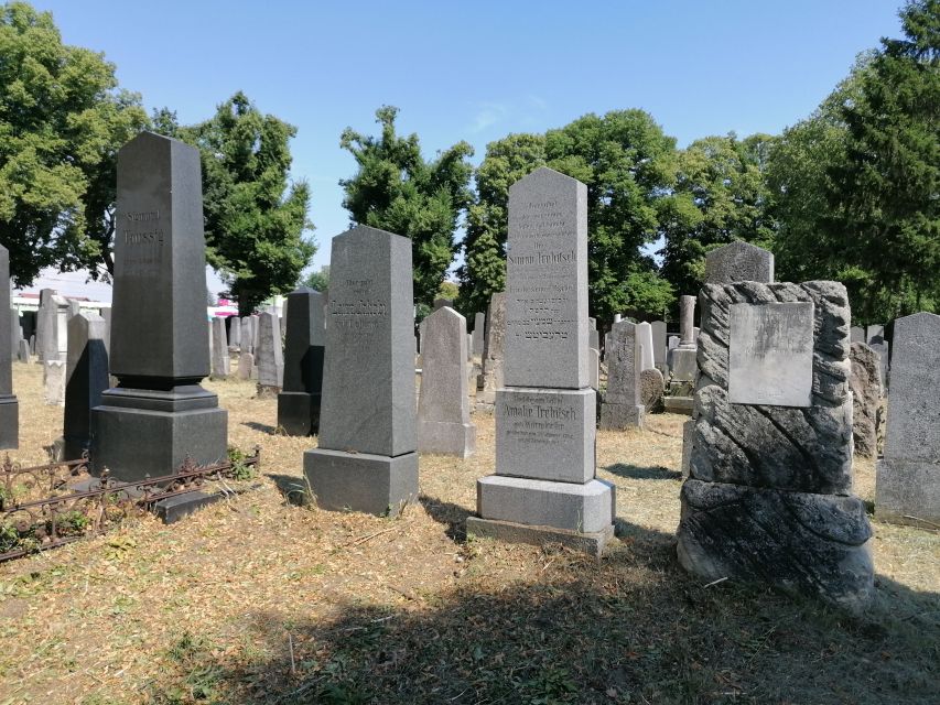 3-Hour Walking Tour of Vienna Central Cemetery - Park grounds: a calmer way to spend time in Vienna
