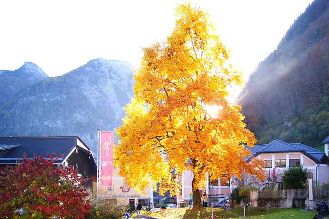 Alpine Hallstatt Day Trip from Vienna incl. Admont Abbey Visit - Stop 1: Highway Coffee Breaks with First Alps Views