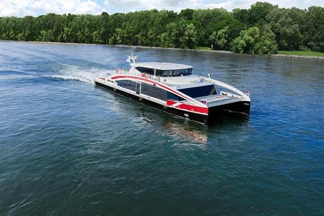 Bratislava Day Trip from Vienna With Catamaran Cruise on Danube - Lunch plans: what you should expect and how to avoid wasting time