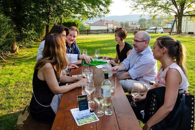 Countryside Half Day Wine Tour near Vienna - Key Things That Make This Vienna Wine Tour Work