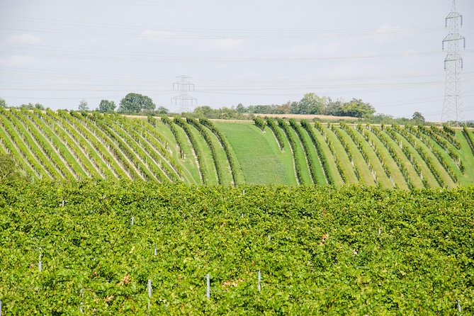 Countryside Half Day Wine Tour near Vienna - Weinviertel Straße Winery Visits: What You Actually Do at the Stops