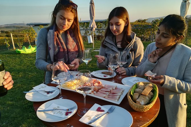 Countryside Half Day Wine Tour near Vienna - Lunch or Dinner at the Third Stop: Austrian Comfort Food Included