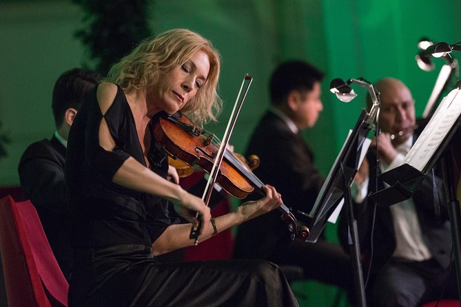 Exclusive Evening at Schönbrunn Palace: After-Hours Audiotour, Dinner, Concert - Is This Worth It for Your Style of Travel?