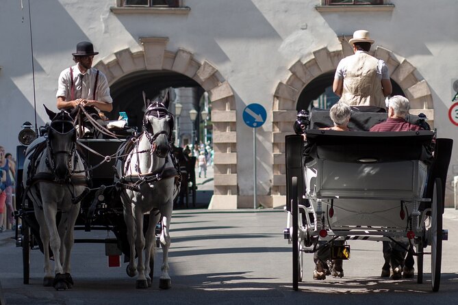 Exclusive Vienna Old Town Highlights Walking Tour (max. 6 persons) - Vienna Old Town, But With Less Guesswork