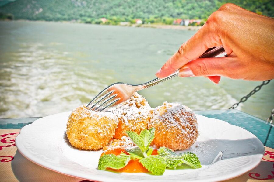 From Krems: Wachau Valley River Cruise on the Danube - From Krems Onto the Danube: Your Easy Start
