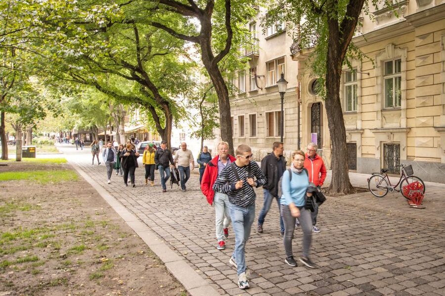 From Vienna: Bratislava Day Trip - Getting to Bratislava from Vienna, with fewer moving parts