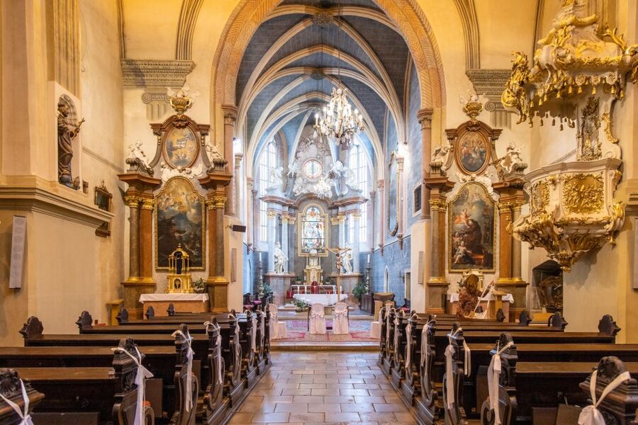 From Vienna: Bratislava Day Trip - Free time in Bratislava, where you choose the pace and lunch