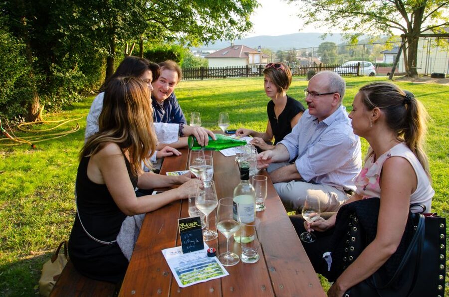 From Vienna: Half-day Countryside Wine Tour with Meal - The end of the day: a classic Austrian 2-course lunch or dinner