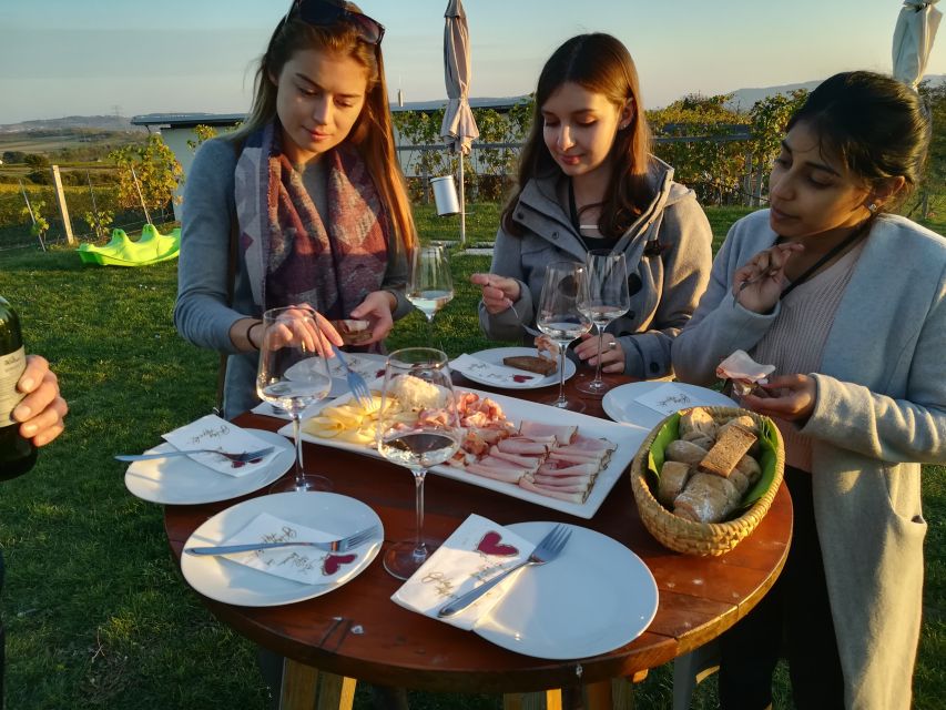 From Vienna: Half-day Countryside Wine Tour with Meal - Price and value: is $141 a fair deal for this much wine and food?