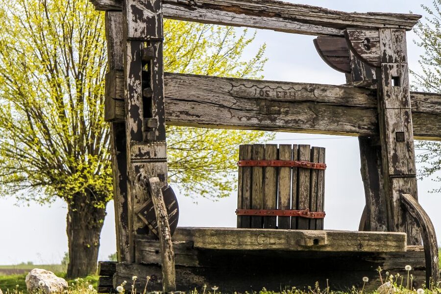 From Vienna: Half-day Countryside Wine Tour with Meal - Should you book this half-day countryside wine tour from Vienna?