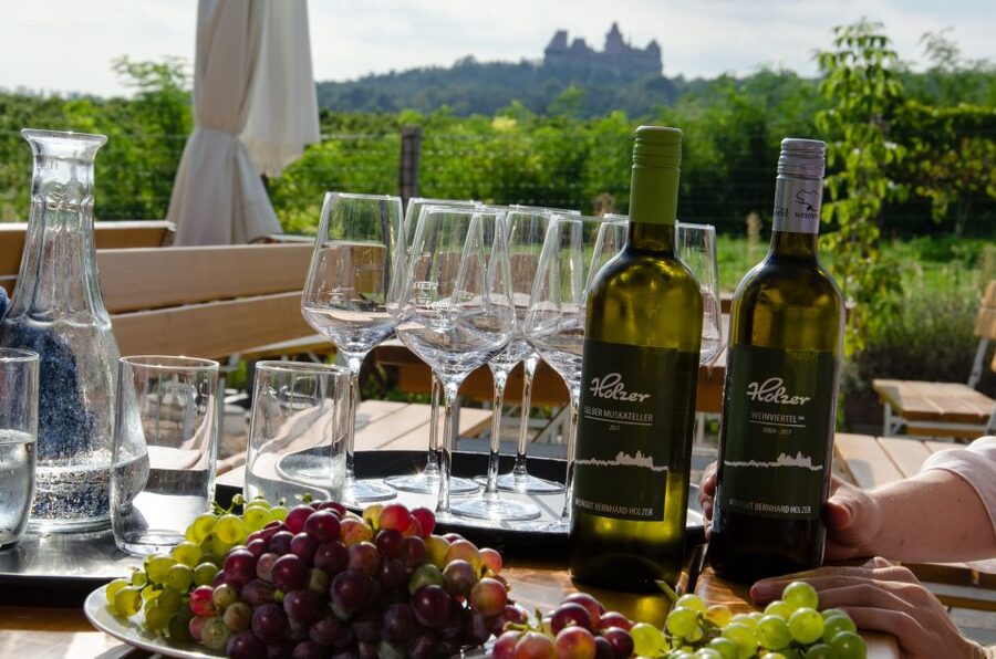 From Vienna: Half-day Countryside Wine Tour with Meal - Two wineries (or three), and why the smaller scale is the point