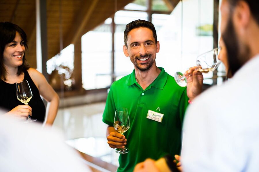 From Vienna: Wachau Valley Day Tour with Wine Tasting - Value check: is $234 per person worth it