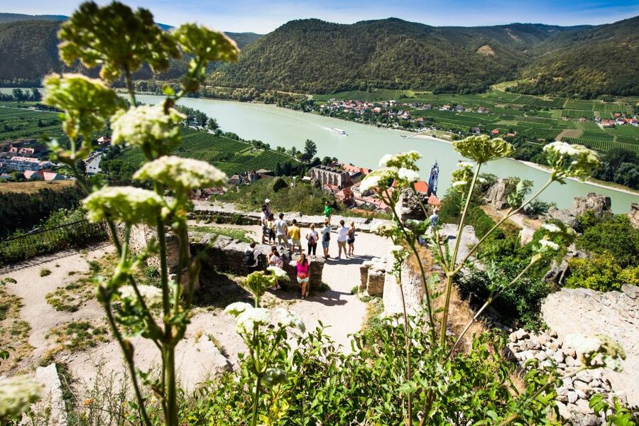 From Vienna: Wachau Valley Day Tour with Wine Tasting - Weißenkirchen lunch: where the day slows down on purpose