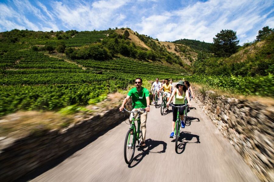 Grape Grazing: Wachau Valley Winery Biking Tour - The day’s flow, stop by stop