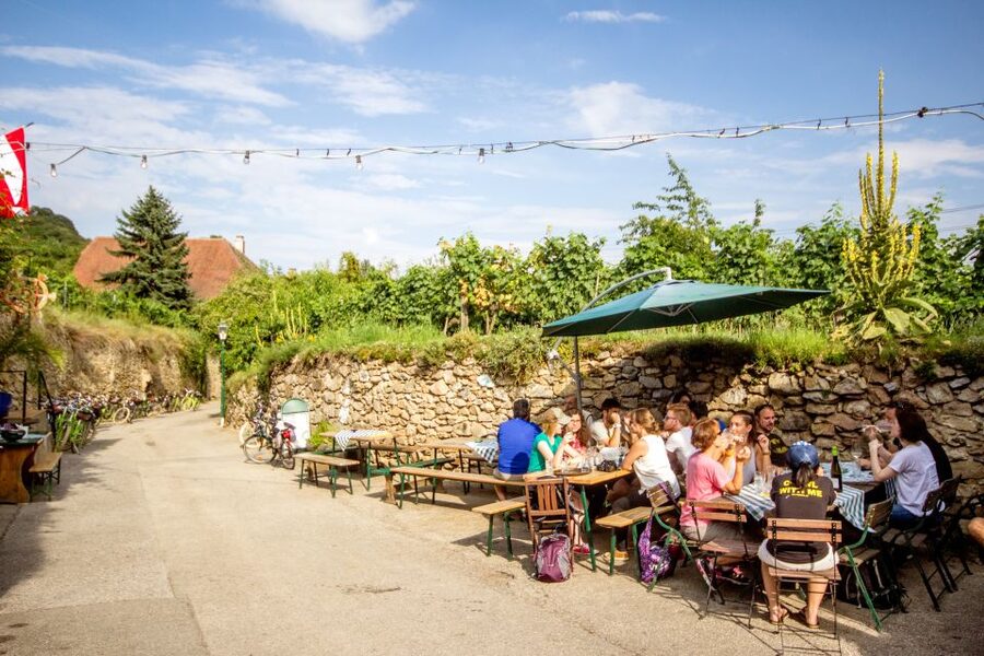 Grape Grazing: Wachau Valley Winery Biking Tour - Who this tour fits best