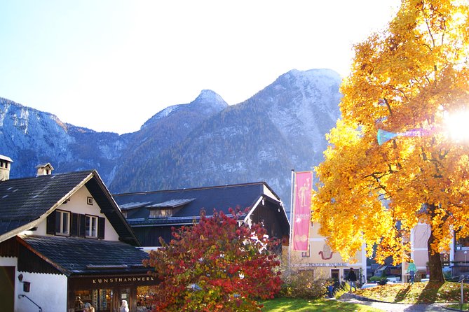 Hallstatt Guided Day Trip from Vienna With Boat Ride Option - Why This Vienna to Hallstatt Day Trip Works for One Long Day