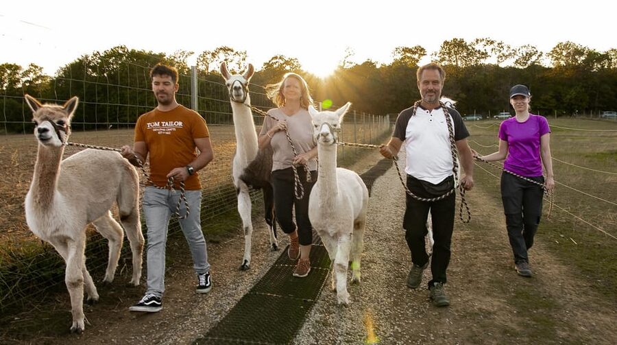 Mödling/Vienna: Scenic Guided Hike with Alpacas and Llamas - Why this Mödling hike feels different from a typical Vienna tour