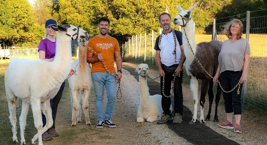 Mödling/Vienna: Scenic Guided Hike with Alpacas and Llamas - The second guided stretch back toward the farm