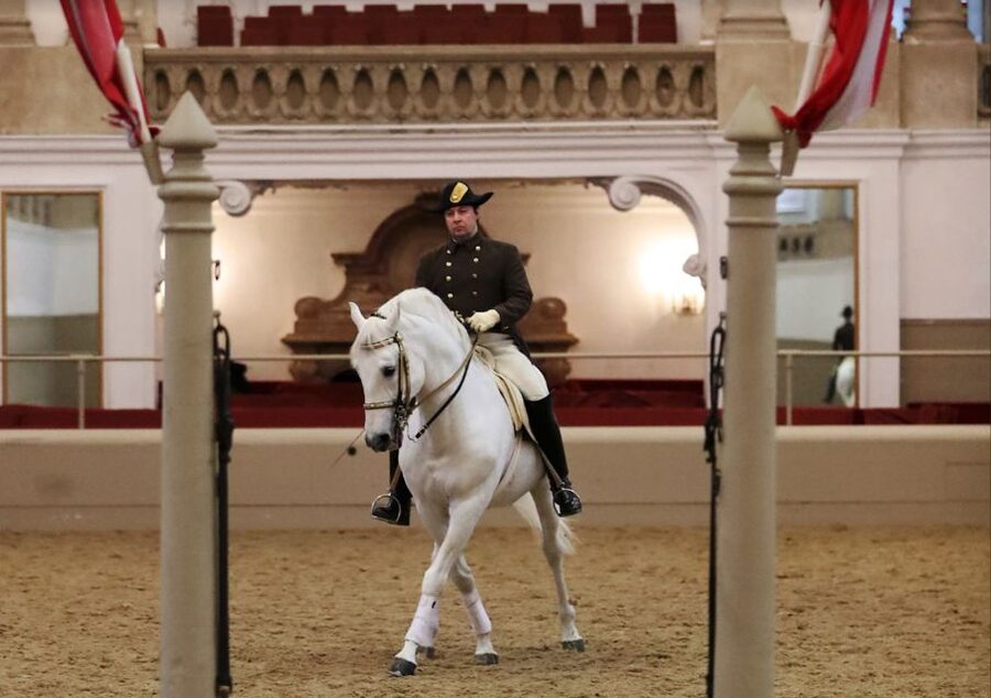 Performance Of The Lipizzans At Spanish Riding School - Tickets, meeting point, and how to avoid a last-minute scramble
