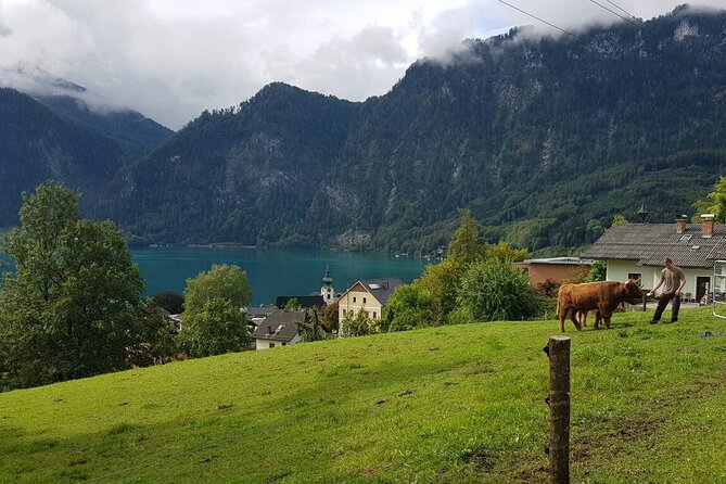 Salzburg: Small-Group Day Trip from Vienna - Linz coffee break and the Lake Attersee photo stop