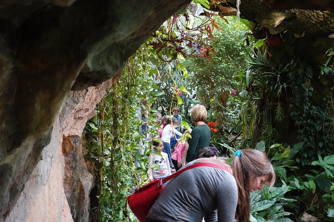 Schmetterlinghaus - Imperial Butterfly House Vienna Admission Ticket - FAQ