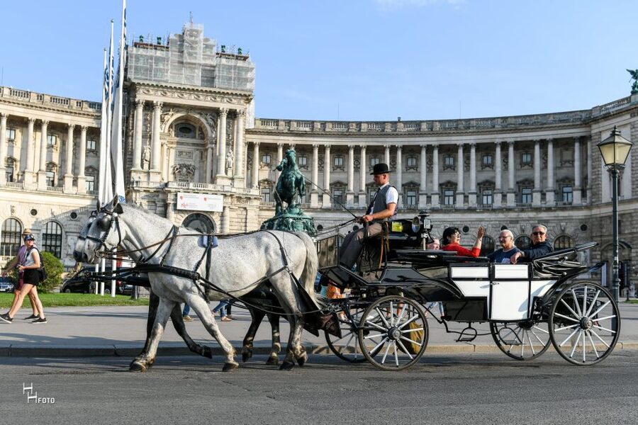 Vienna: 30-Minute Fiaker Ride in the Old Town - Key things to know before you book a Fiaker ride