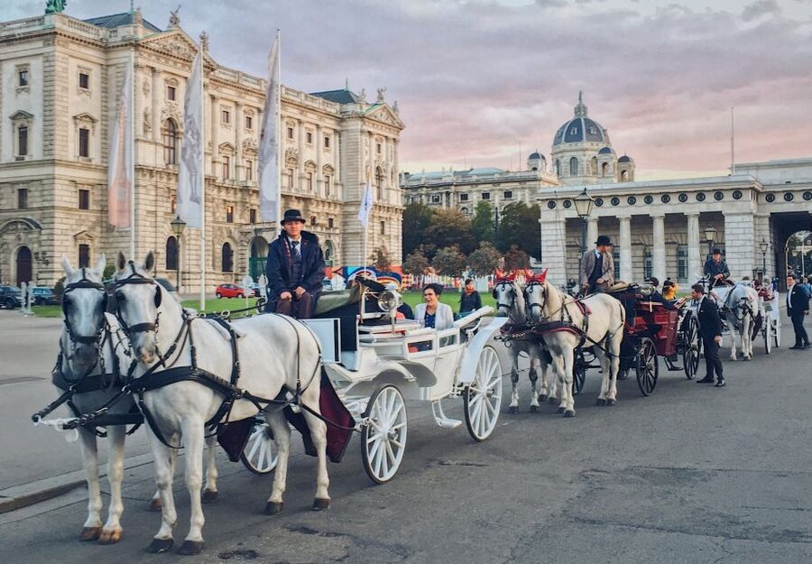 Vienna: 30-Minute Fiaker Ride in the Old Town - The heart of the route: Hofburg to the Ringstraße landmarks