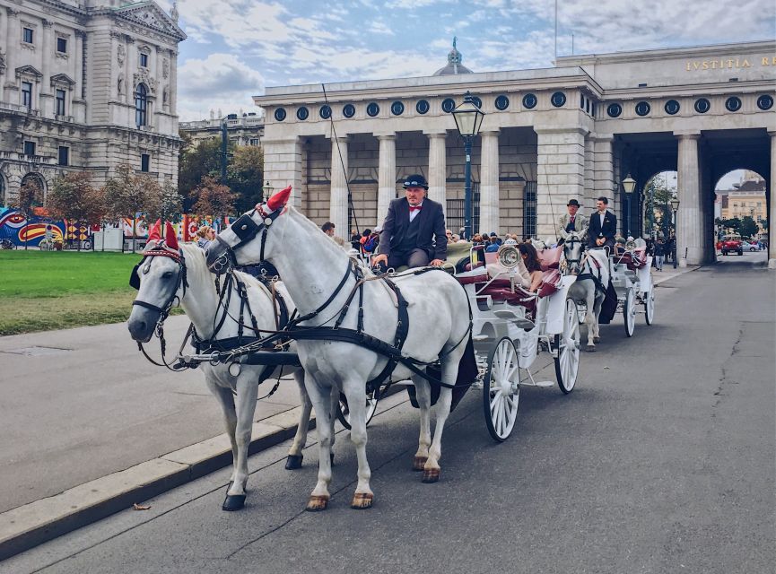 Vienna: 30-Minute Fiaker Ride in the Old Town - The sound and comfort reality check