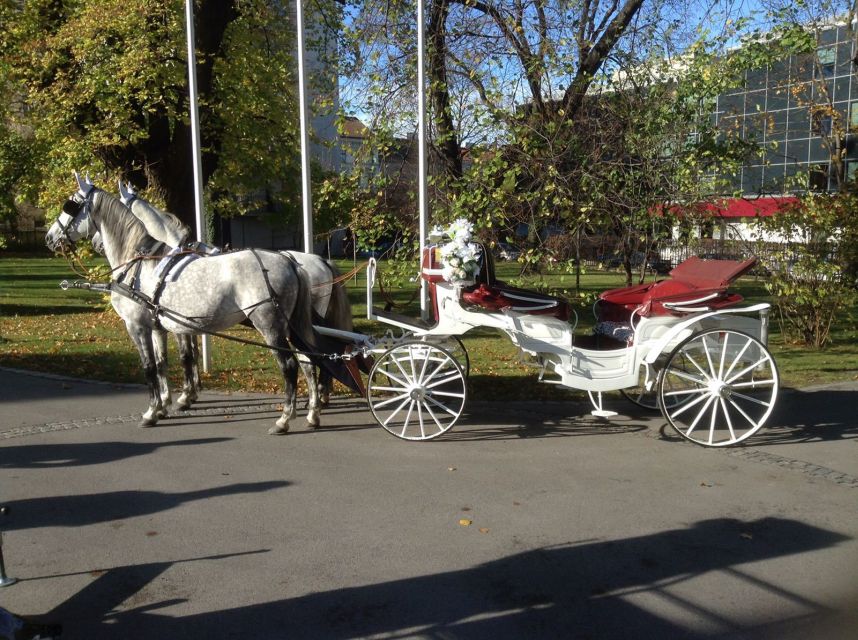 Vienna: 30-Minute Fiaker Ride in the Old Town - Who this Fiaker ride suits best