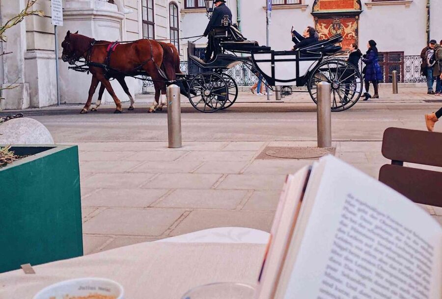 Vienna: 30-Minute Fiaker Ride in the Old Town - Where you start: St. Stephen’s Cathedral vs Michaelerplatz