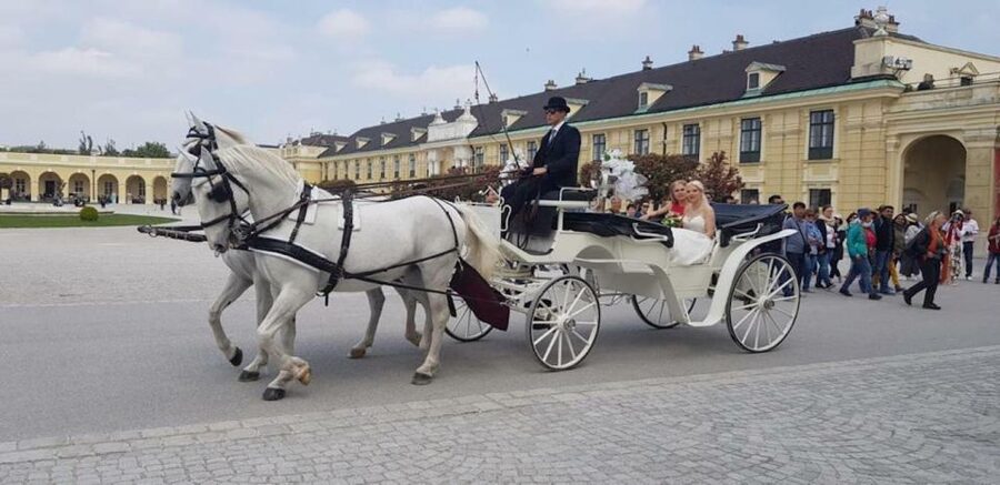 Vienna: Carriage Ride Through Schönbrunn Palace Gardens - Key highlights to look forward to