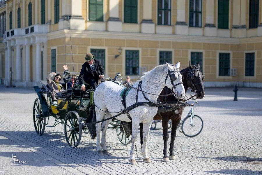 Vienna: Carriage Ride Through Schönbrunn Palace Gardens - Why a Fiaker Ride Works So Well in Schönbrunn