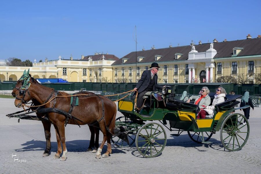 Vienna: Carriage Ride Through Schönbrunn Palace Gardens - Neptune Fountain, Obelisk, and the Garden’s Signature Moments