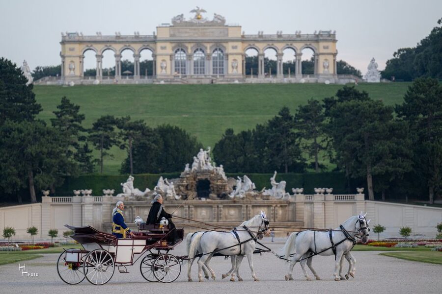 Vienna: Carriage Ride Through Schönbrunn Palace Gardens - Palm House and Orangerie: The Plant World on a Palace Budget