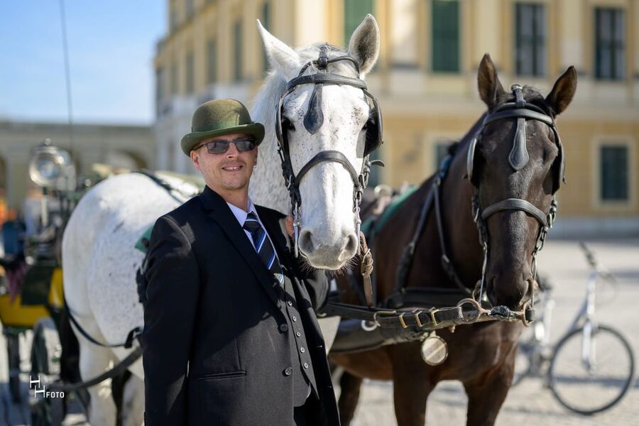 Vienna: Carriage Ride Through Schönbrunn Palace Gardens - Price and Value: Is This $108 Carriage Ride Worth It?