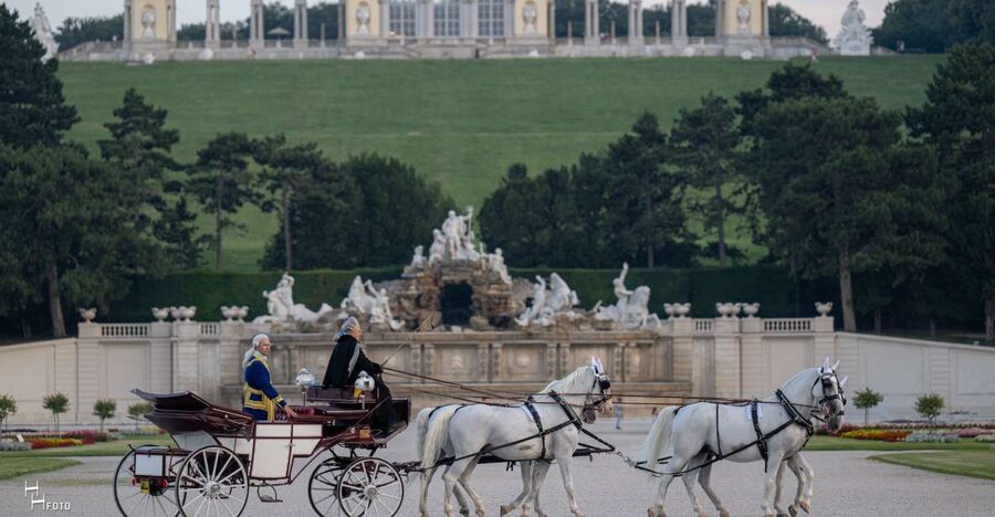 Vienna: Carriage Ride Through Schönbrunn Palace Gardens - Who This Private Carriage Ride Suits Best