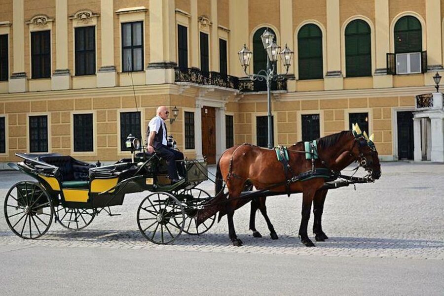 Vienna: Carriage Ride Through Schönbrunn Palace Gardens - Meeting in Front of Schönbrunn Palace: Your Starting Point