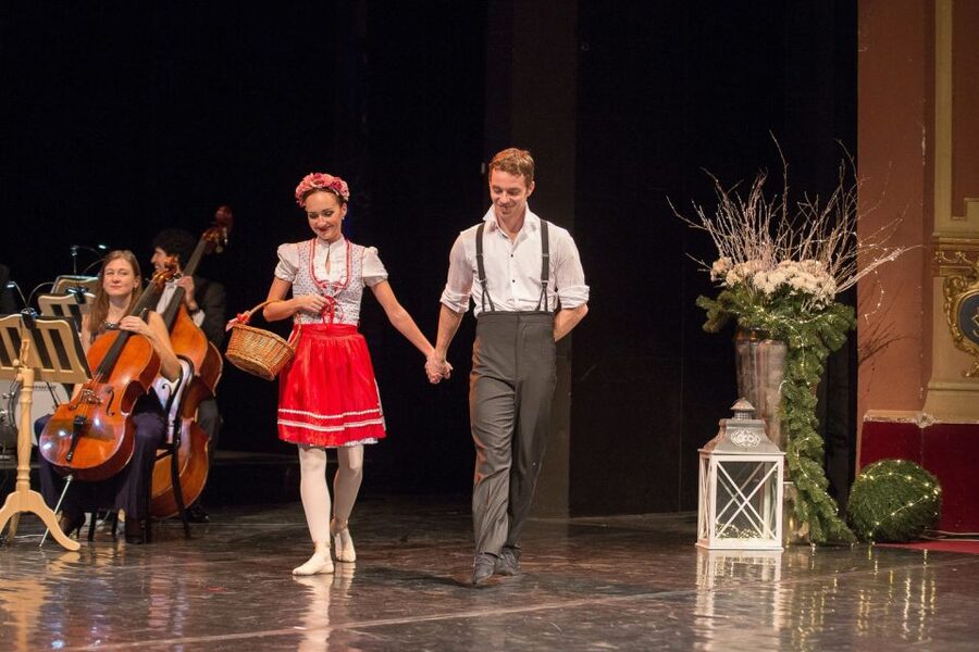 Vienna: Classical Concert at Eschenbach Palace - Who this concert is best for