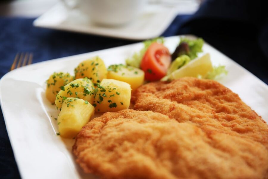 Vienna: Cruise and Schnitzel Tour - Families and Kids: What the Ticket Means for Children