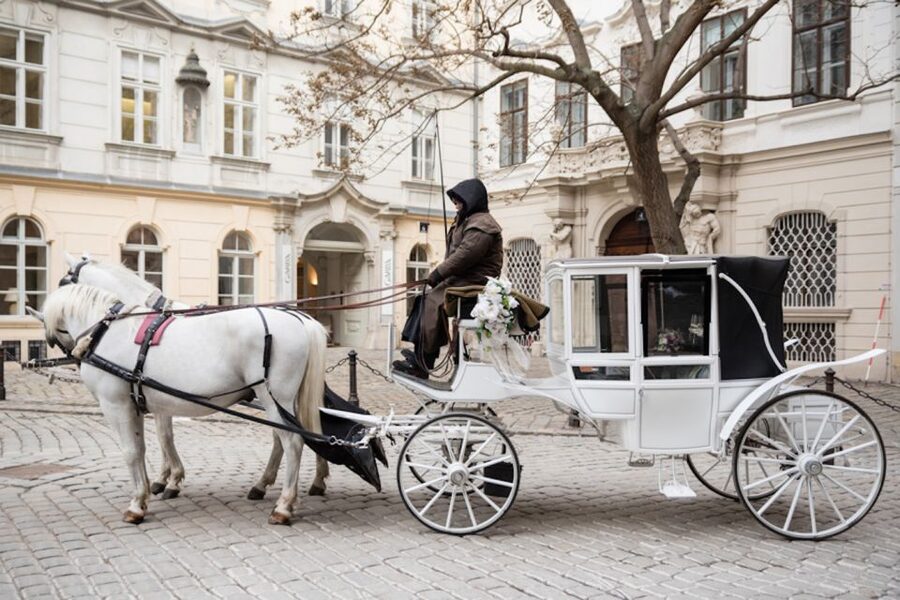 Vienna: Culinary Horse-Drawn Carriage Experience - Coachman stories and butler service: the human touch