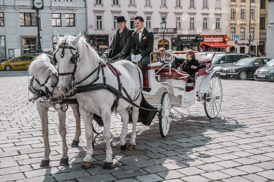 Vienna: Culinary Horse-Drawn Carriage Experience - Weatherproof carriage: rain and snow, still on the move