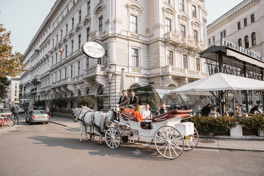 Vienna: Culinary Horse-Drawn Carriage Experience - Price and value: why $229 per group can make sense