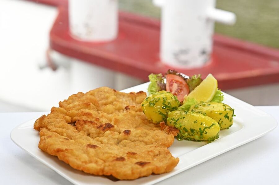 Vienna: Danube River Cruise w/ optional Viennese Specialties - Cruising Vienna from the Danube, not the sidewalk