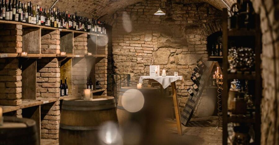 Vienna: Hidden Wine Cellars Tasting Experience - Stephansplatz to Underground: What the 150 Minutes Feels Like
