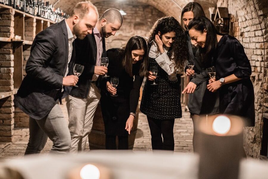 Vienna: Hidden Wine Cellars Tasting Experience - Wine History Underfoot: How the Guide Makes Cellars Make Sense