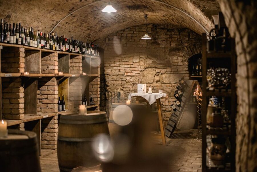 Vienna: Hidden Wine Cellars Tasting Experience - The Three Private Cellars: Vienna’s Hidden Wine Footprint