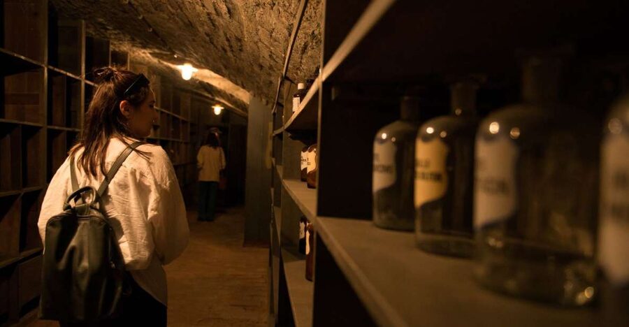 Vienna: Historical Pharmacy Cellar Guided Tour - Vienna underground pharmacy cellar tour, what you’re actually stepping into