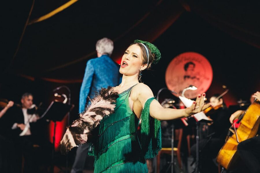 Vienna: Johann Strauss Dinner Show at the Prater - Who this show suits best, and who might skip it