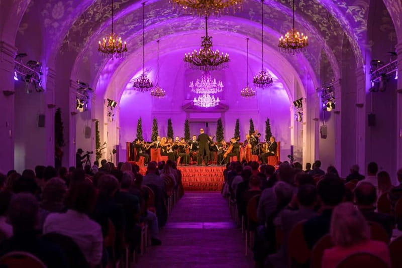 Vienna: Mozart and Strauss Concert at Schönbrunn - VIP vs standard seating: what you really gain