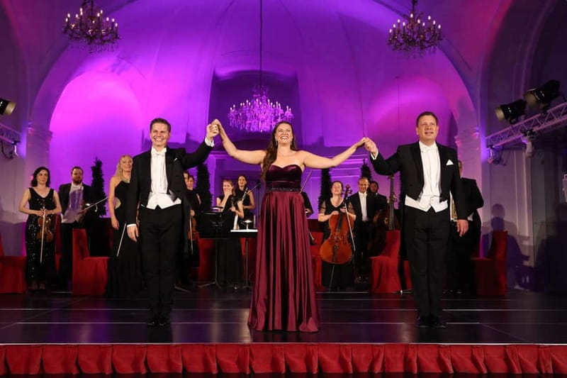 Vienna: Mozart and Strauss Concert at Schönbrunn - Who should book, and who might prefer a different evening